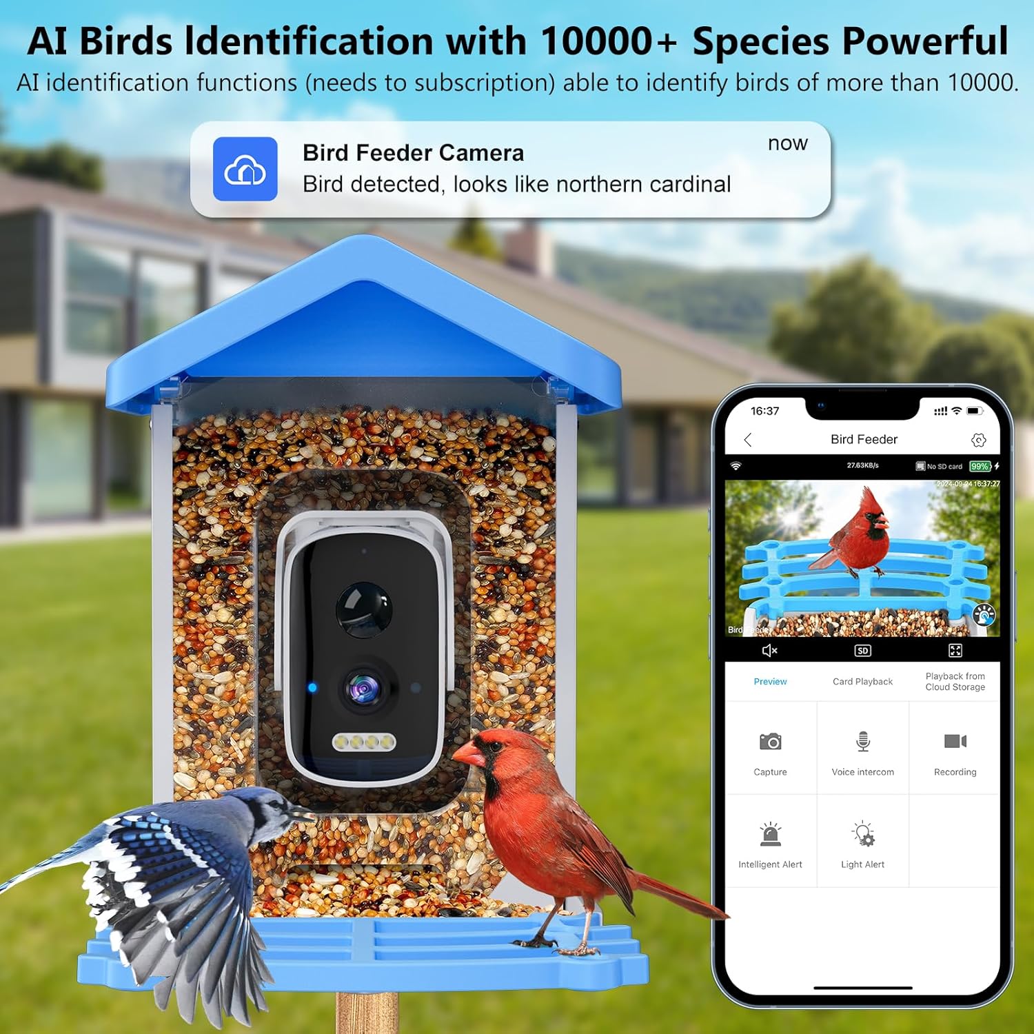 Smart Bird Feeder with Camera  - Smart Garden Ai 评论和价格