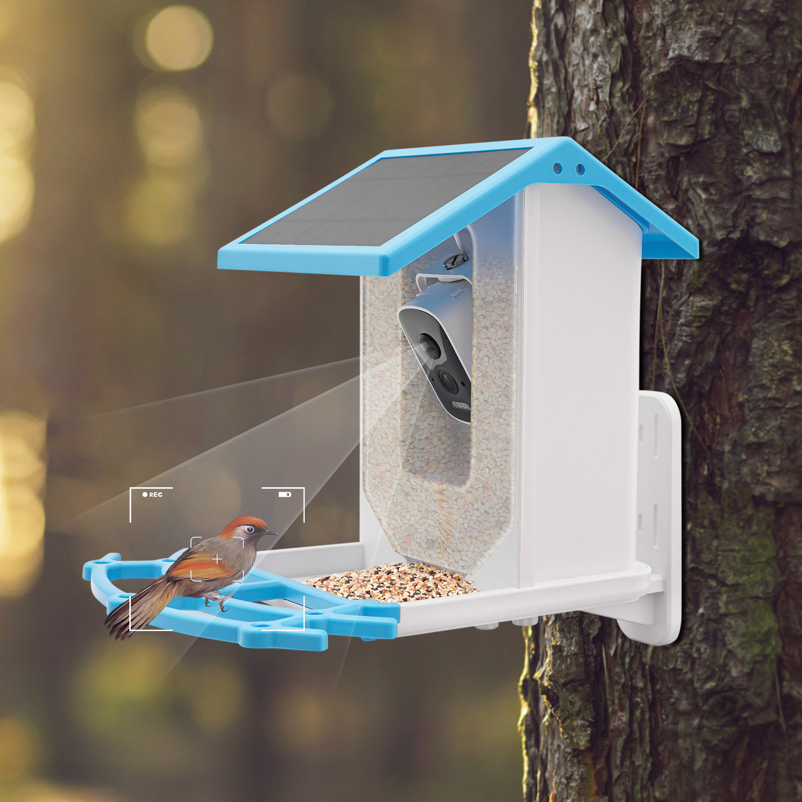 Solar Powered Smart Bird Feede - Smart Garden Ai 评论和价格