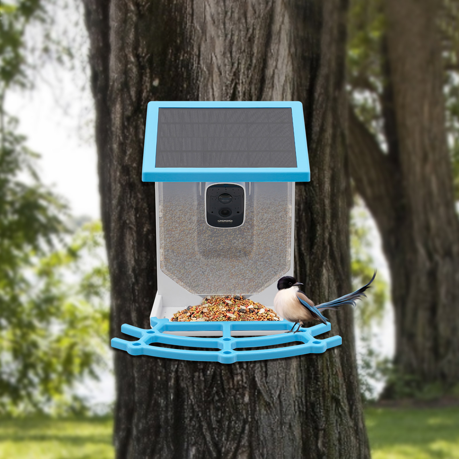 Solar Powered Smart Bird Feede - Smart Garden Ai 评论和价格