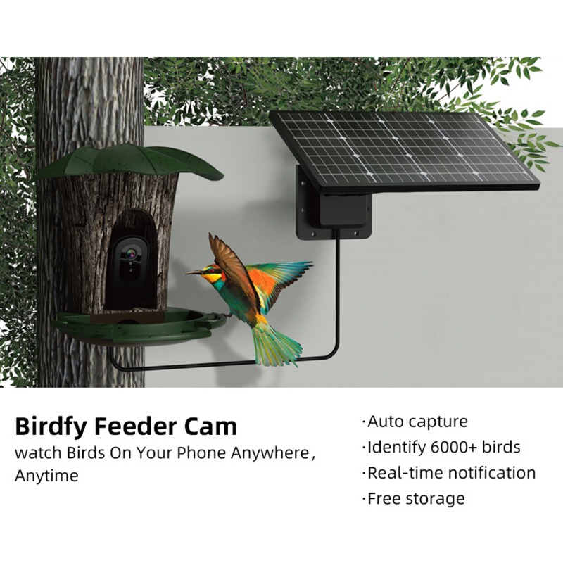 Solar AI Smart Bird Feeder Bir - Smart Garden Ai 评论和价格