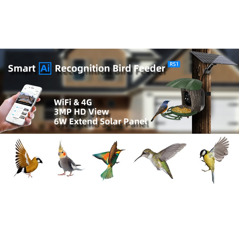 Solar AI Smart Bird Feeder Bir - Smart Garden Ai 评论和价格